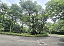 新店區-禾豐二路3房2廳，44.1坪