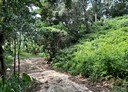 香山區-大湖路土地，263坪