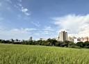 蘆竹區-土地，360.7坪