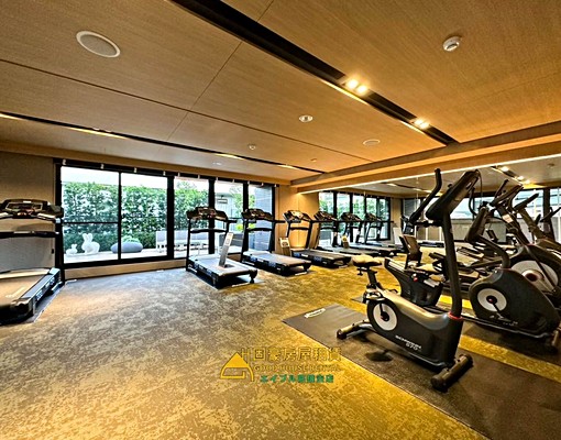 固豪👍左營三越Song三房平車 - Image 15