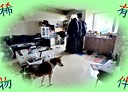 松山區-民權東路五段5房3廳，28.6坪