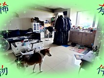 民權東路五段✨有巢✨稀有~..
