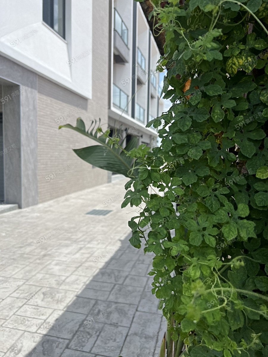 鎰境之美環境圖