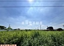 新化區-土地，158.3坪