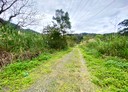 冬山鄉-土地，2287坪