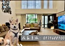 新店區-安興路6房3廳，123坪