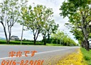 三星鄉-大義七路廠房，68.7坪