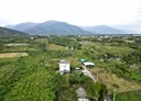壽豐鄉-土地，221坪
