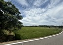 觀音區-新張段土地，2461.7坪