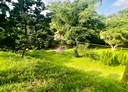 石門區-土地，2784坪