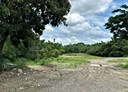 關廟區-土地，6675坪