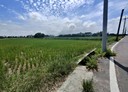 新屋區-土地，1167.6坪