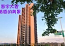 北屯區-南興北二路3房2廳，52.8坪