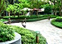 樹林區-學成路2房1廳，29.8坪