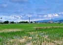 三星鄉-土地，1432.9坪