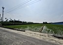 竹田鄉-新田段土地，730.2坪