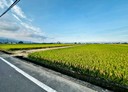 礁溪鄉-玉光一段土地，756.3坪