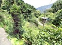 三峽區-土地，4868.7坪