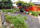 樹林區-東山段土地，70坪