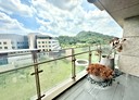 內湖區-金湖路4房2廳，92.1坪