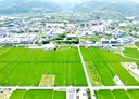 宜蘭市-茭白段土地，872坪