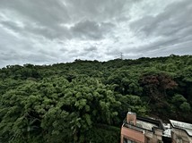 淡金路16巷☎美式家庭☎奢華..