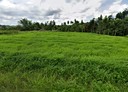 左鎮區-土地，3789坪