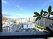 重立路專約~R15自由黃昏市場..