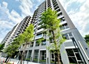 南港區-向陽路3房2廳，45.3坪