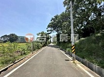 四湖段🍎成交抽BMW🍎楊湖路..