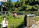 寶山鄉-寶山路二段土地，280.5坪