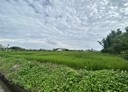 新屋區-大牛欄段土地，603坪