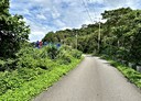 林口區-土地，271.3坪
