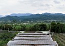 新社區-土地，1314坪