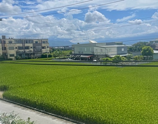 農舍1-2樓,誠意出租 - Image 6