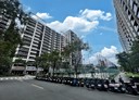 新莊區-樹新路1房1廳，26.5坪
