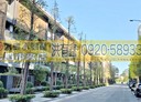 南屯區-龍富十三街4房3廳，96坪