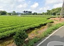龍潭區-土地,284.9坪
