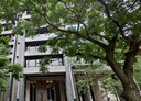 林口區-富貴路開放式格局，181.1坪