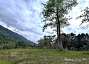 內埔鄉-土地，1540.8坪