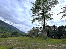屏東土地《專約-涼山造夢農..