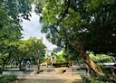 中和區-宜安路3房2廳，39.6坪