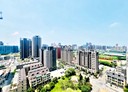 大園區-致遠街4房2廳，61.1坪
