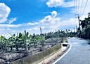 萬巒鄉-富興路土地，1533坪