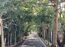 大雅區-中清路四段2房1廳，25坪