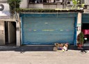 內湖區-新明路辦公，32坪