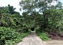 中埔鄉-土地，1576.6坪