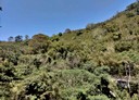 復興區-土地，3857.3坪