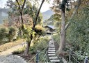北埔鄉-湖西段土地，3109.7坪