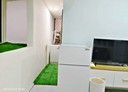 泰山區-明志路三段1房0廳，3.7坪